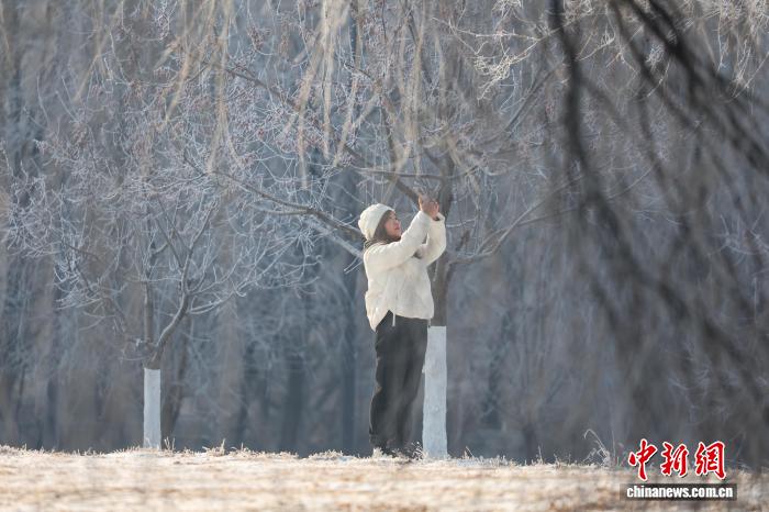 沈阳现雾凇景观