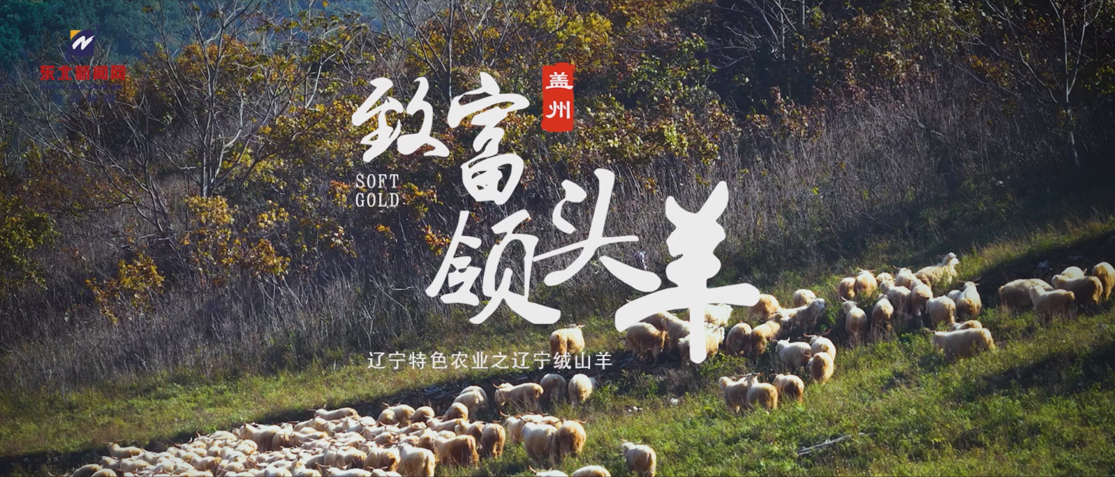 盖州，致富领头羊