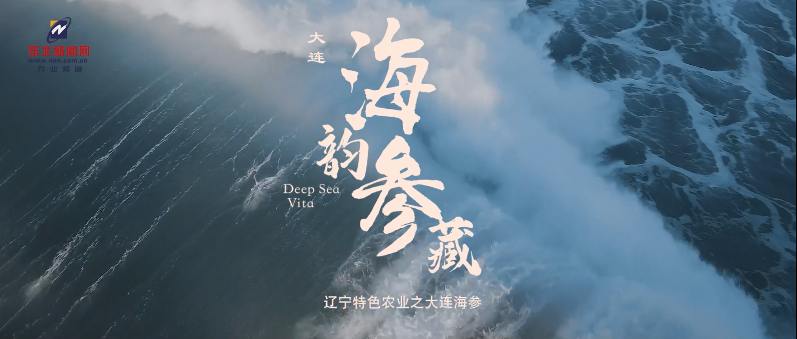 大连，海韵“参”藏