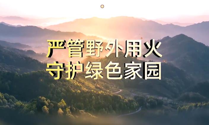 严禁野外用火 守护绿色家园