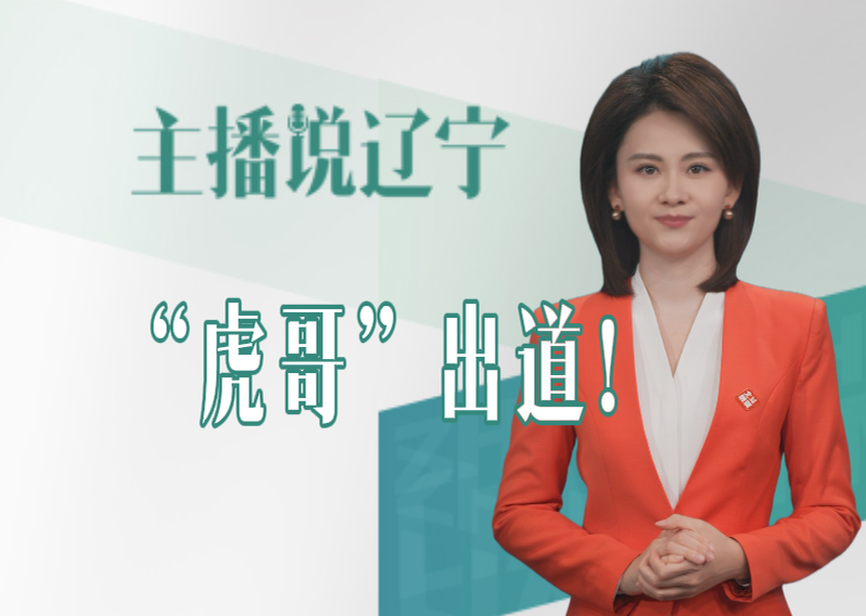 主播说辽宁｜“虎哥”出道！
