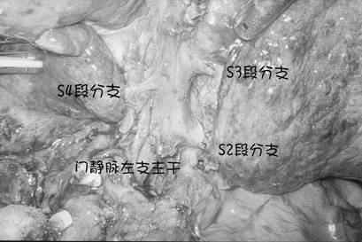 图片4副本
