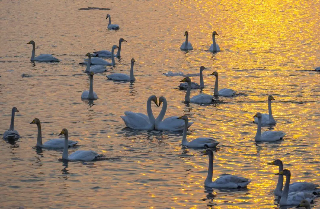 ������Ǵ���ӣ���������а��ˣ�