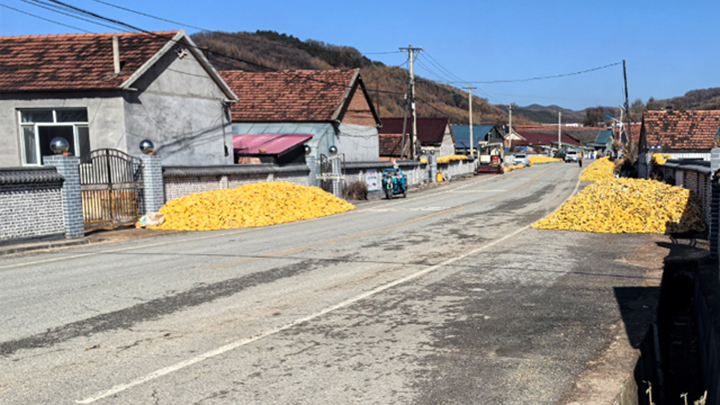 清理占道晾粮 守护道路安全