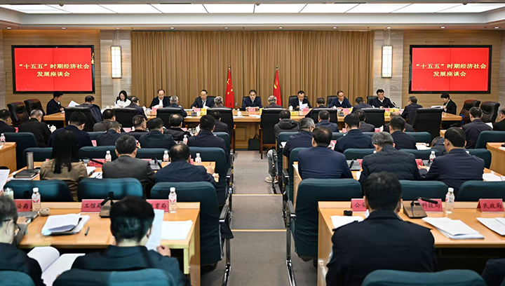 市委召开“十五五”时期经济社会发展座谈会