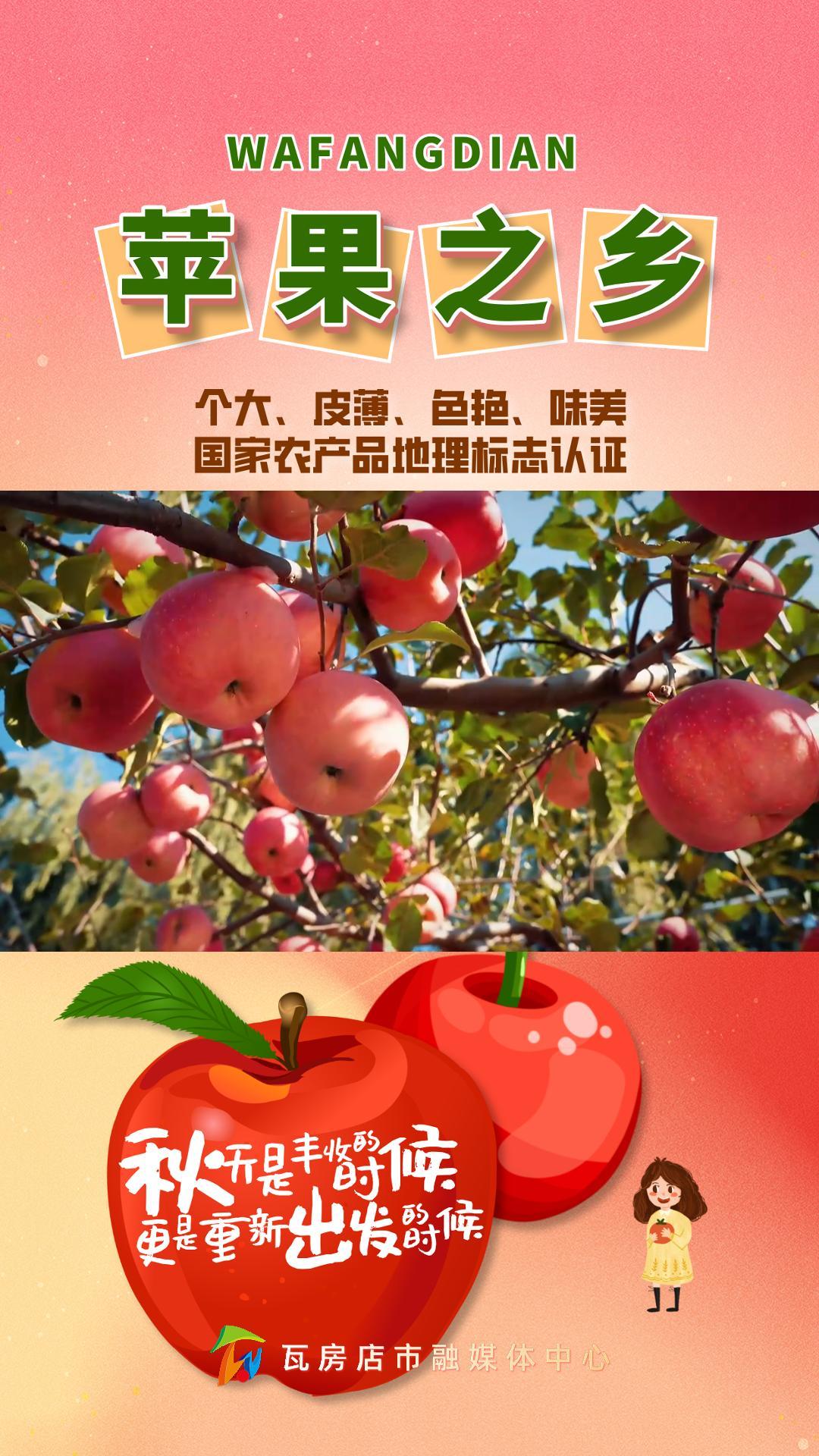 苹果红了