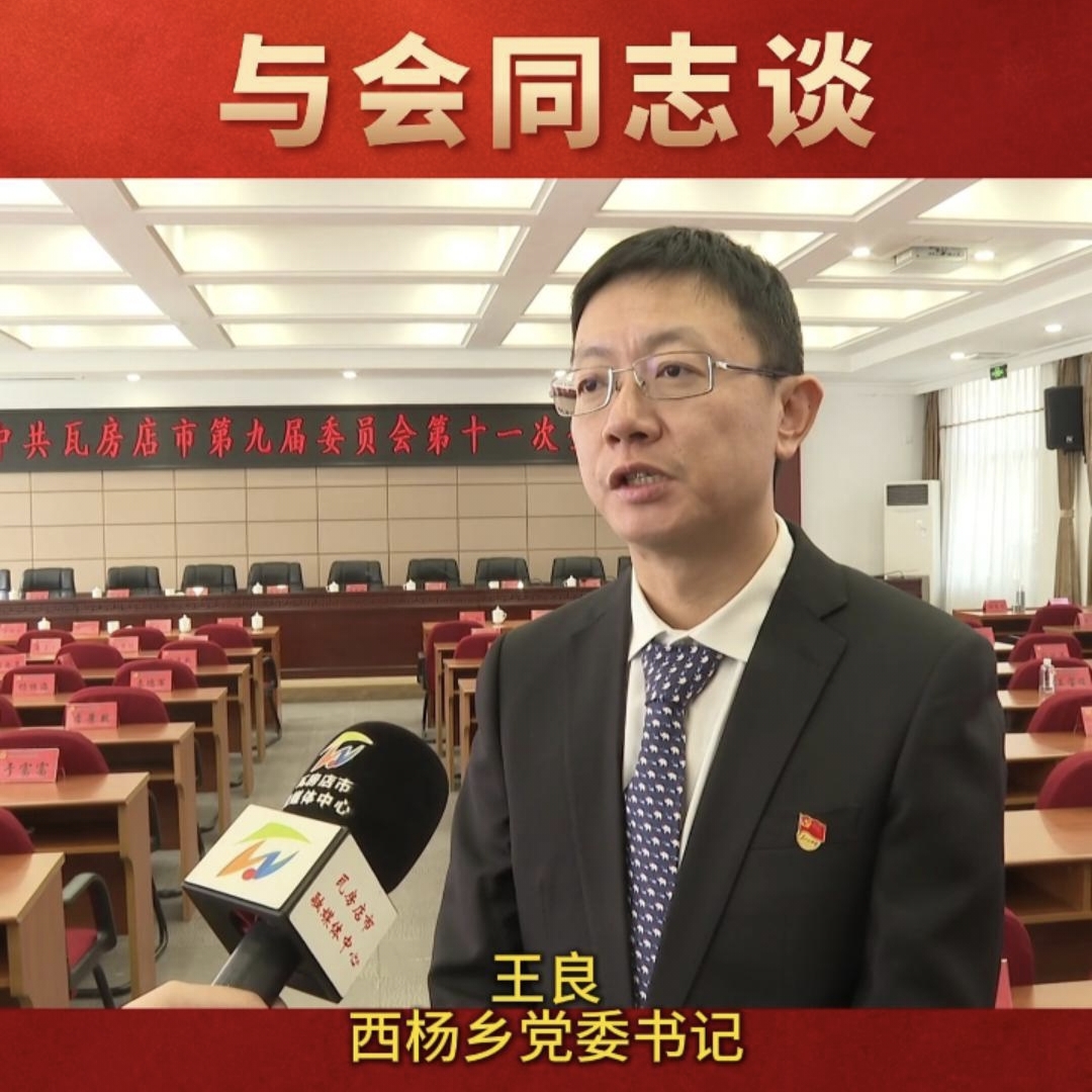 与会同志谈|王良：西杨乡将深入贯
